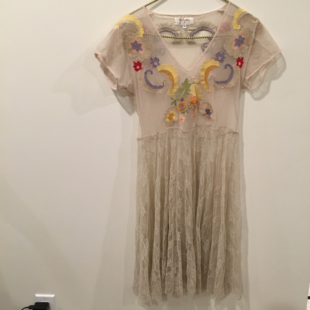 Sheer lace embroidered dress